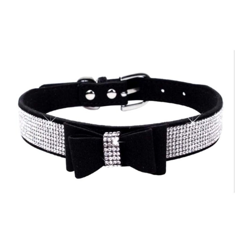 Small dog collar 🖤🖤